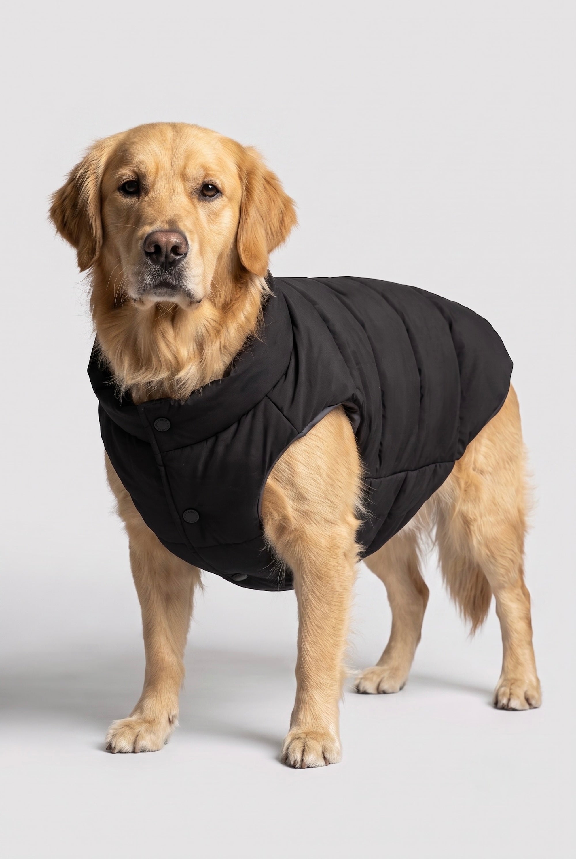 Puff-O Pet Puffer Jacket #color_black