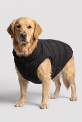 Puff-O Pet Puffer Jacket #color_black
