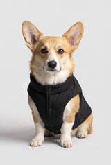 Puff-O Pet Puffer Jacket #color_black