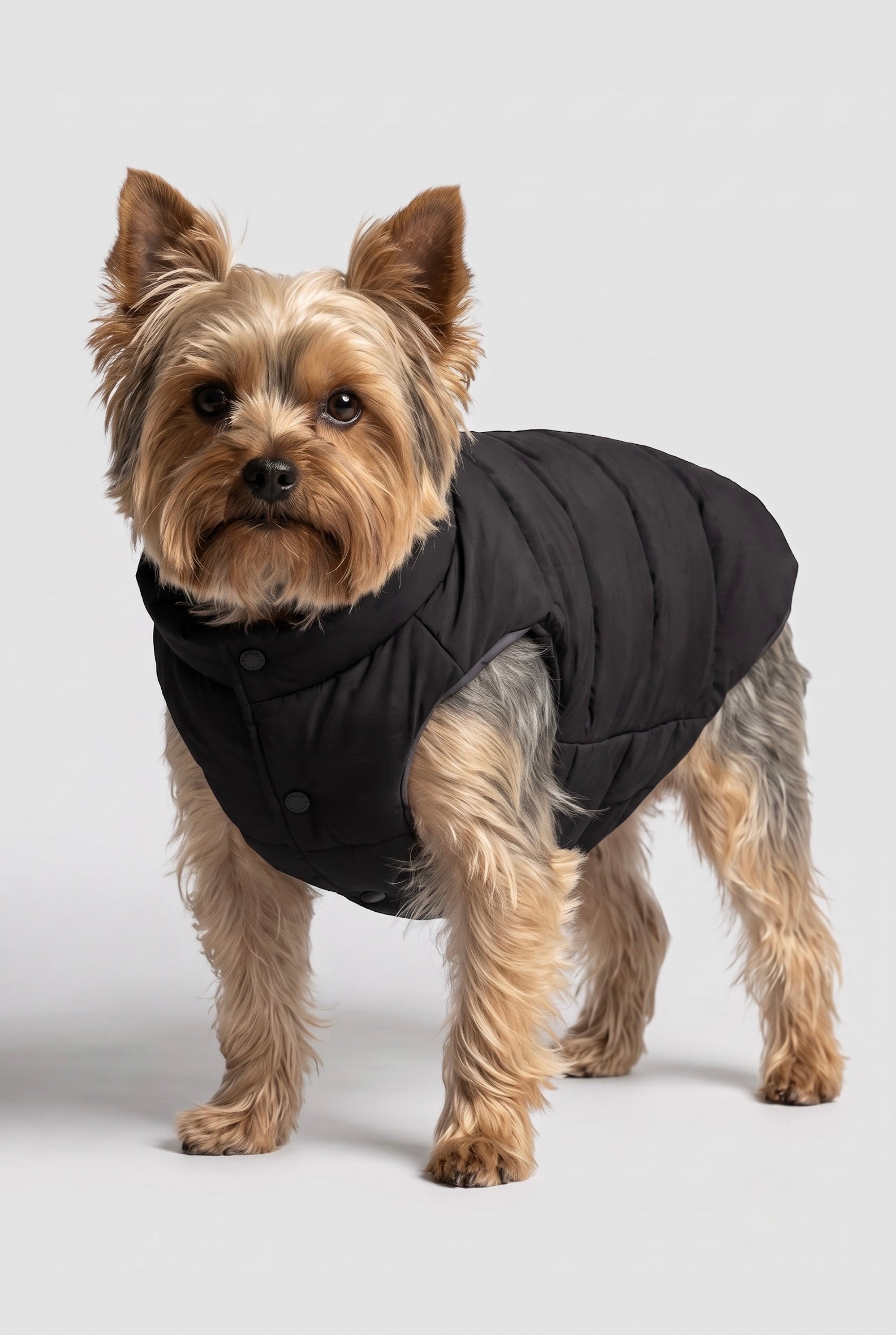 Puff-O Pet Puffer Jacket #color_black