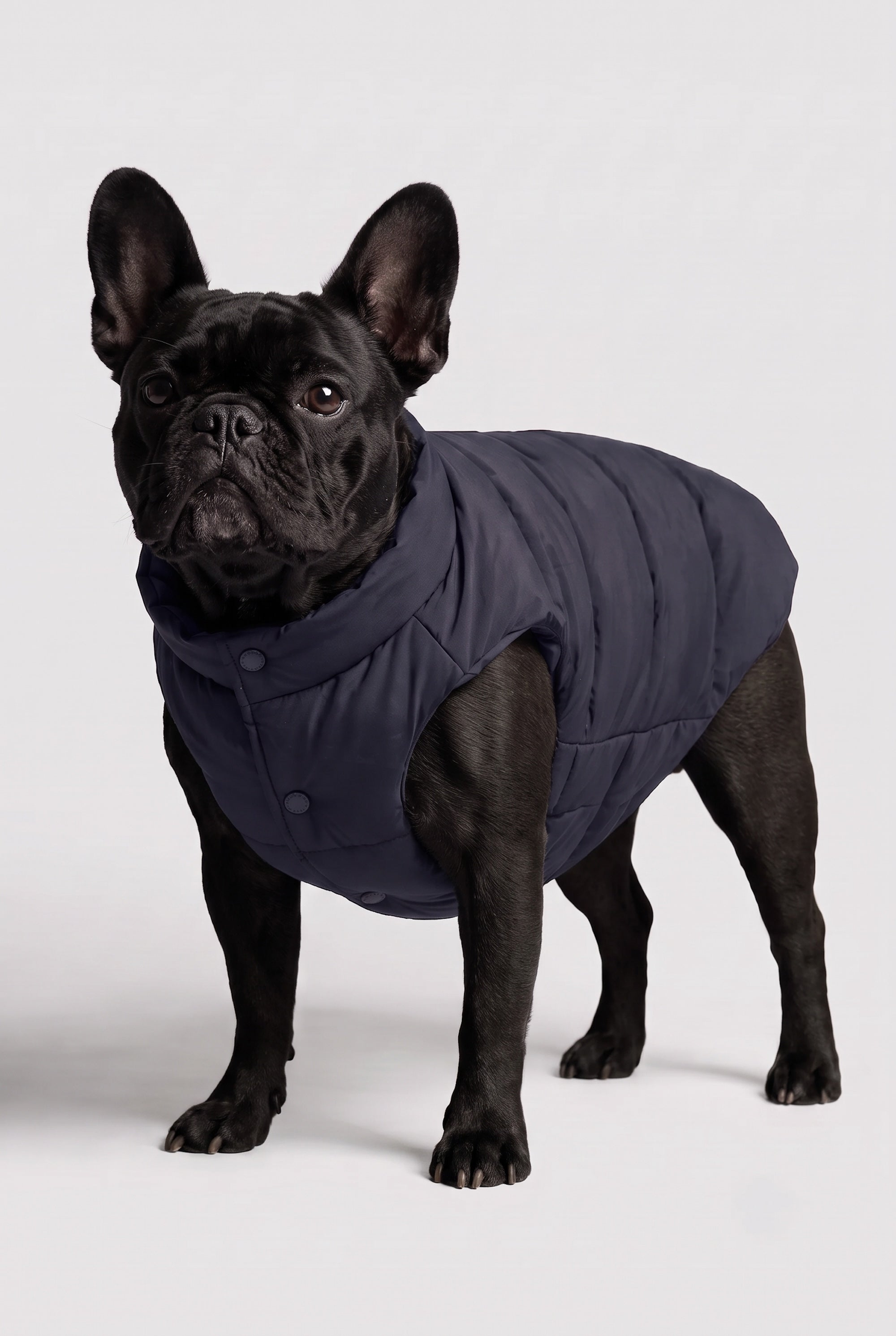 Puff-O Pet Puffer Jacket #color_navy