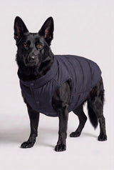 Puff-O Pet Puffer Jacket #color_navy