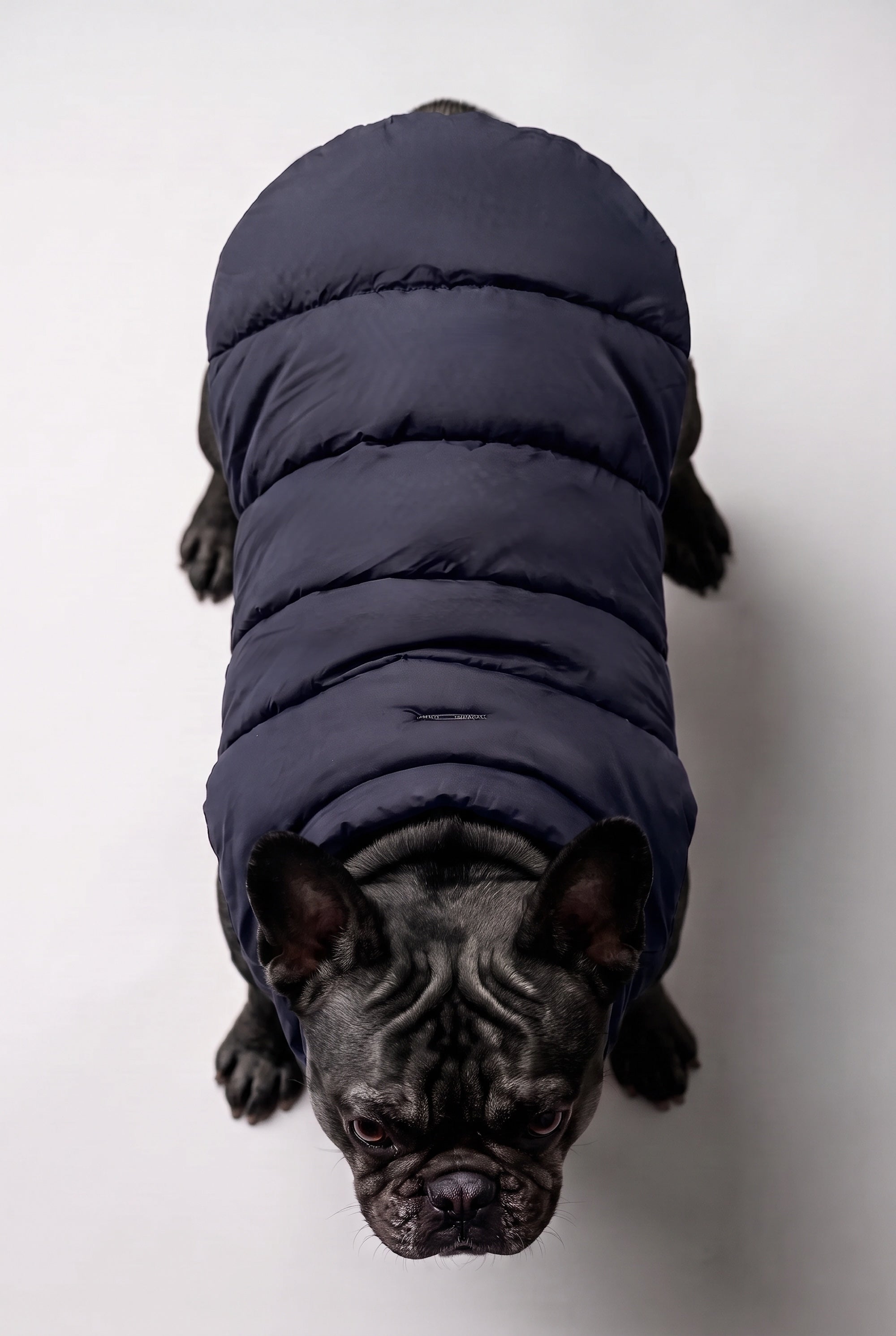 Puff-O Pet Puffer Jacket #color_navy