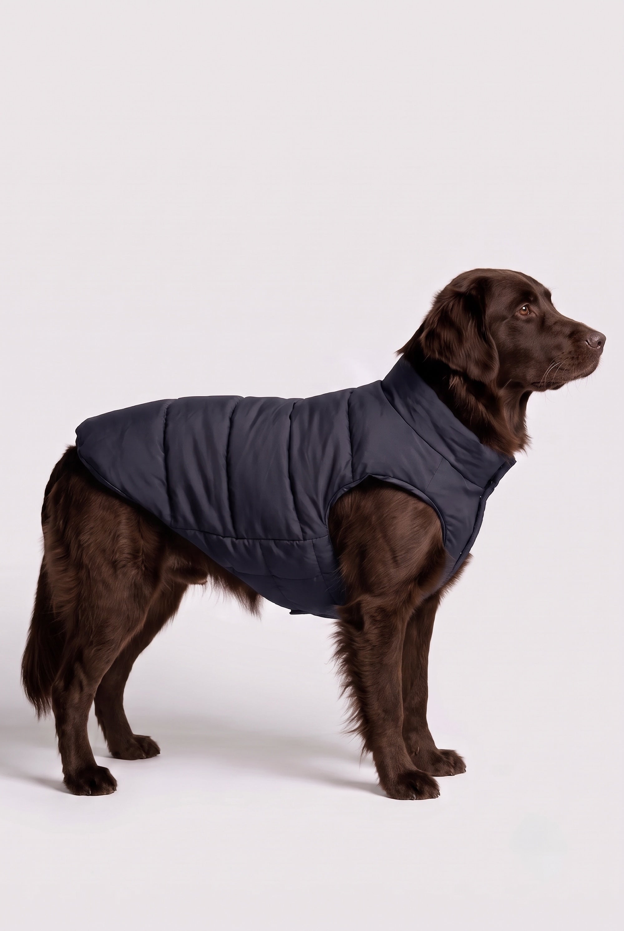 Puff-O Pet Puffer Jacket #color_navy