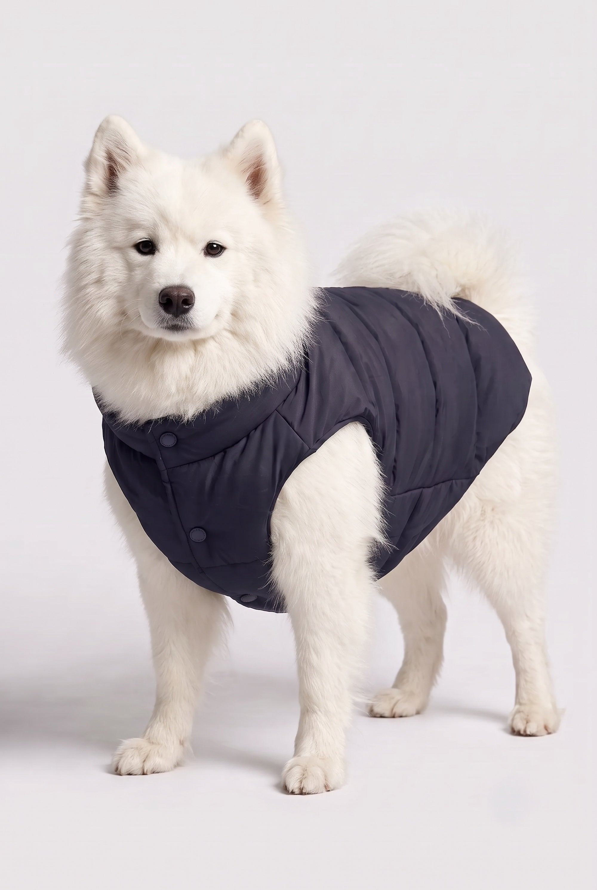 Puff-O Pet Puffer Jacket #color_navy