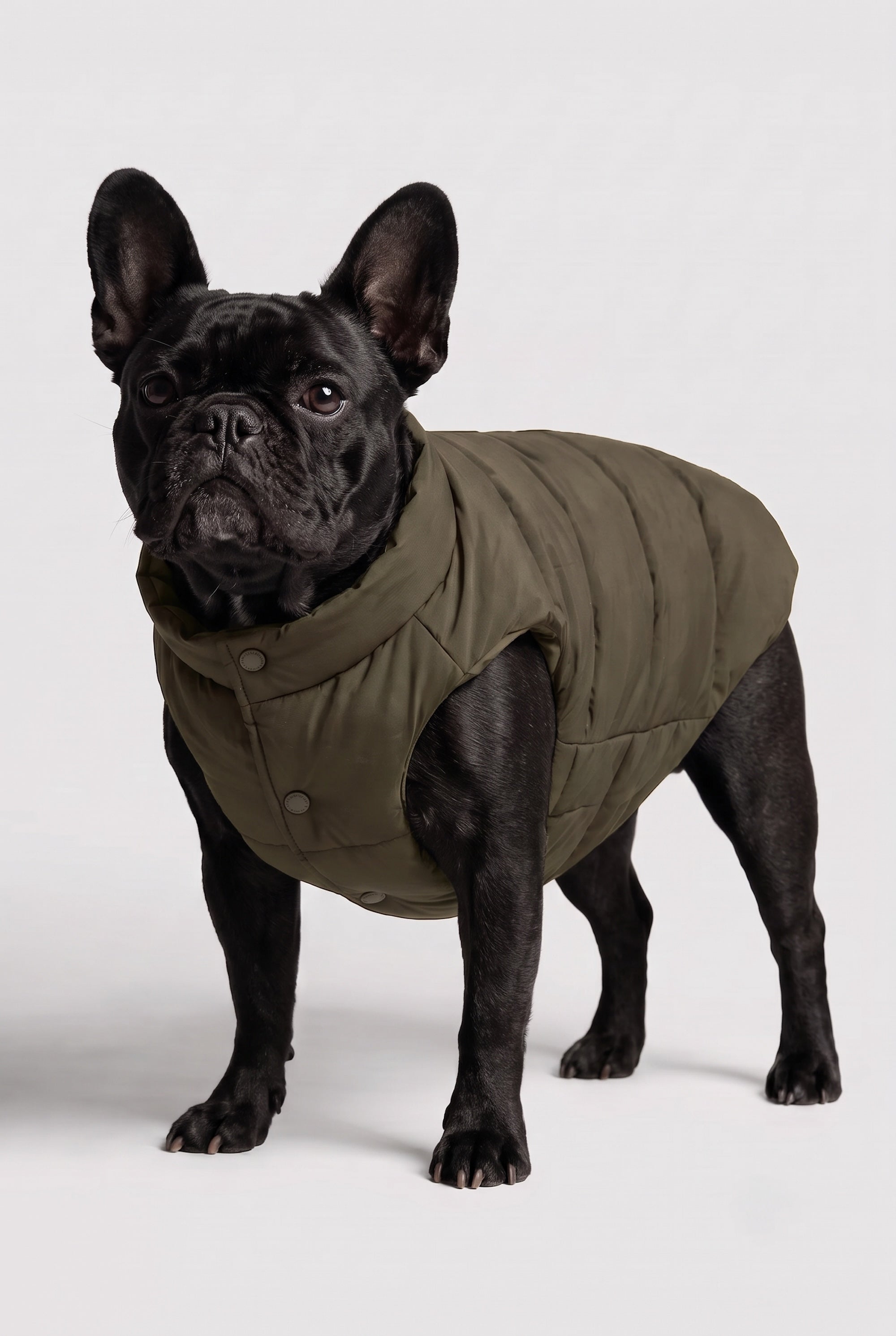 Puff-O Pet Puffer Jacket #color_olive