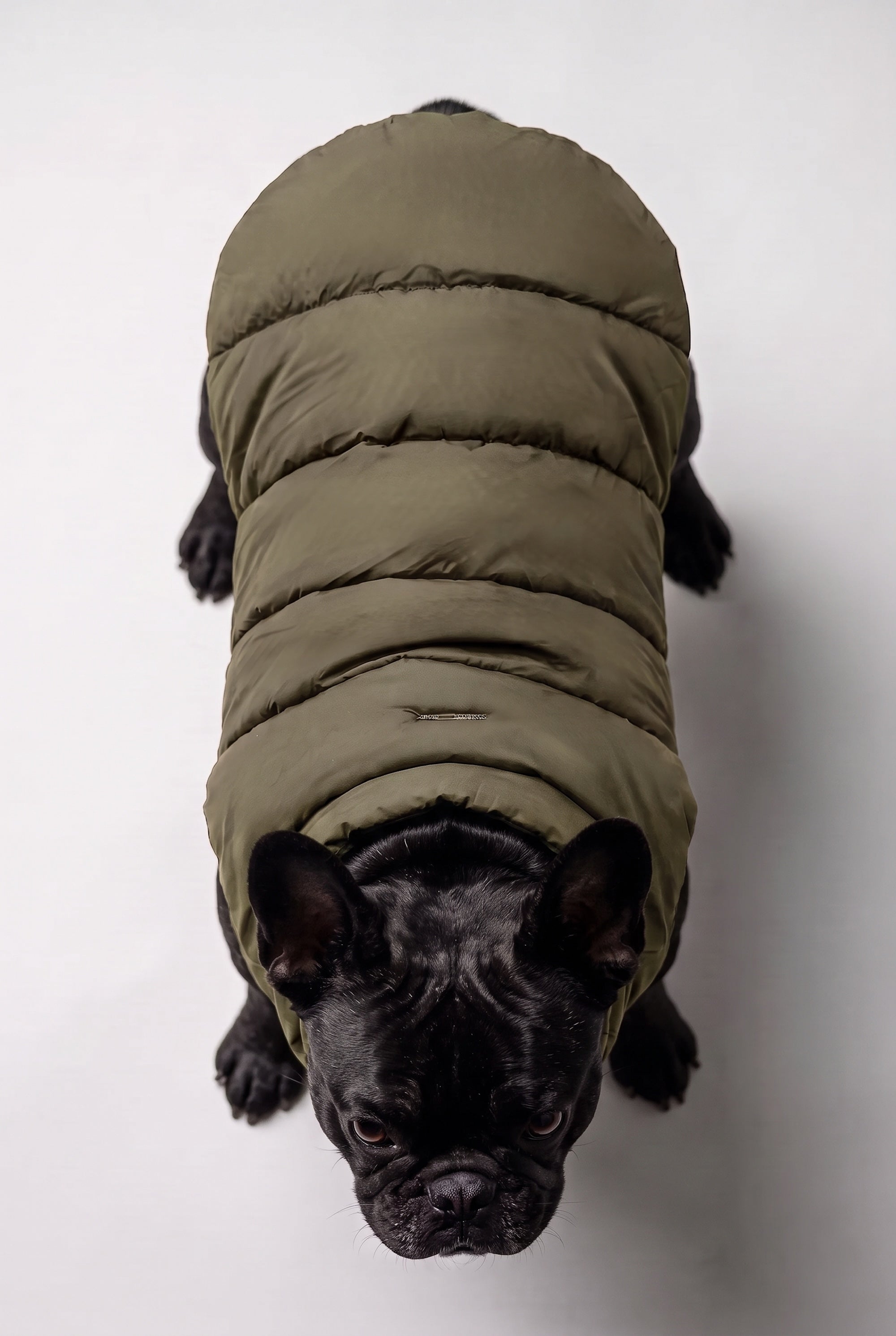 Puff-O Pet Puffer Jacket #color_olive
