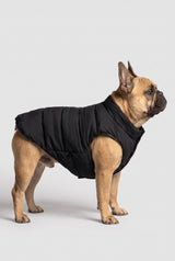 Puff-O Pet Puffer Jacket #color_black