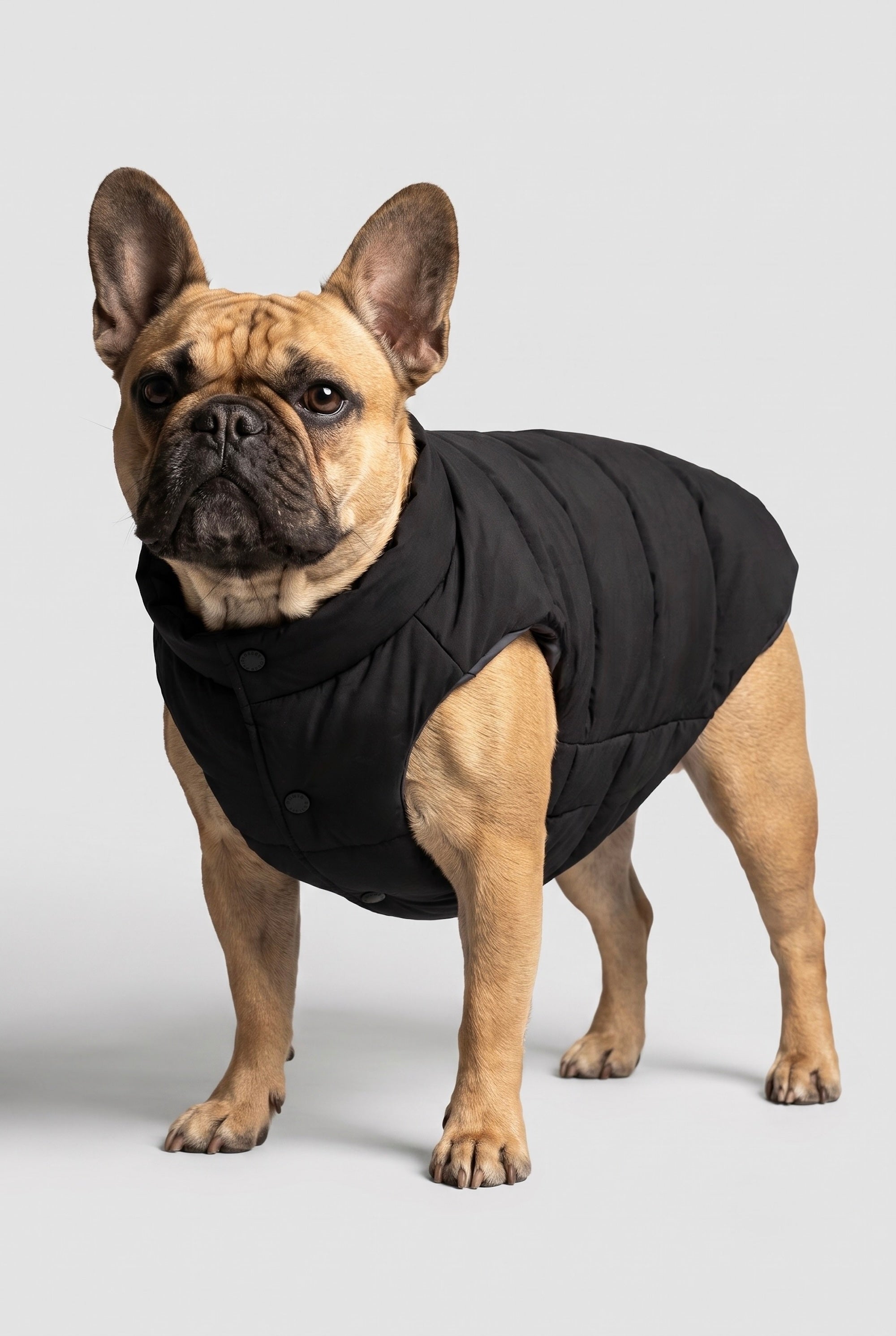 Puff-O Pet Puffer Jacket #color_black