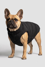 Puff-O Pet Puffer Jacket #color_black
