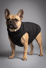 Puff-O Pet Puffer Jacket #color_black