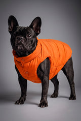 Puff-O Pet Puffer Jacket #color_Bright Marigold