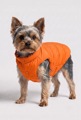 Puff-O Pet Puffer Jacket #color_Bright Marigold
